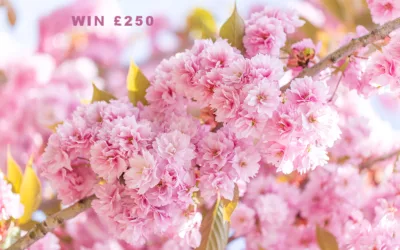 Kit for Purpose: Spring-Themed Photography